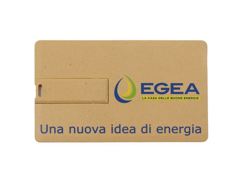 Biglietto da visita ecologico con chiavetta usb