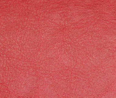 red leather usb drive