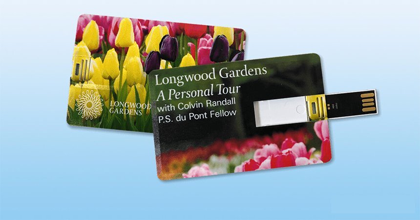 Pendrives para tarjetas de visita Pendrives para tarjetas de crédito USB personalizados