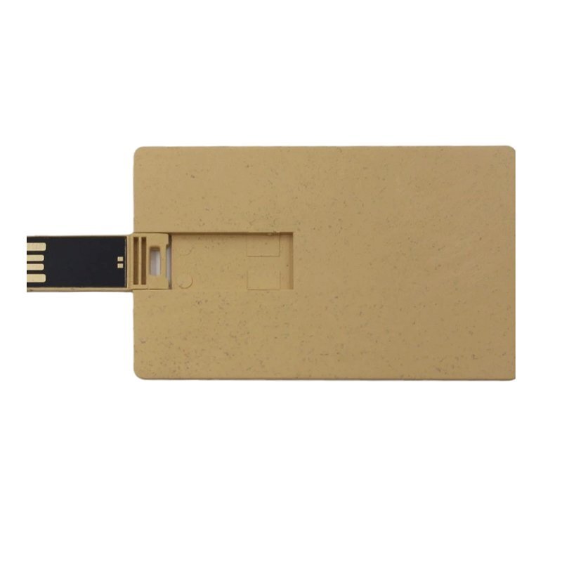 Eco Friendly Plastic Card USB Drive