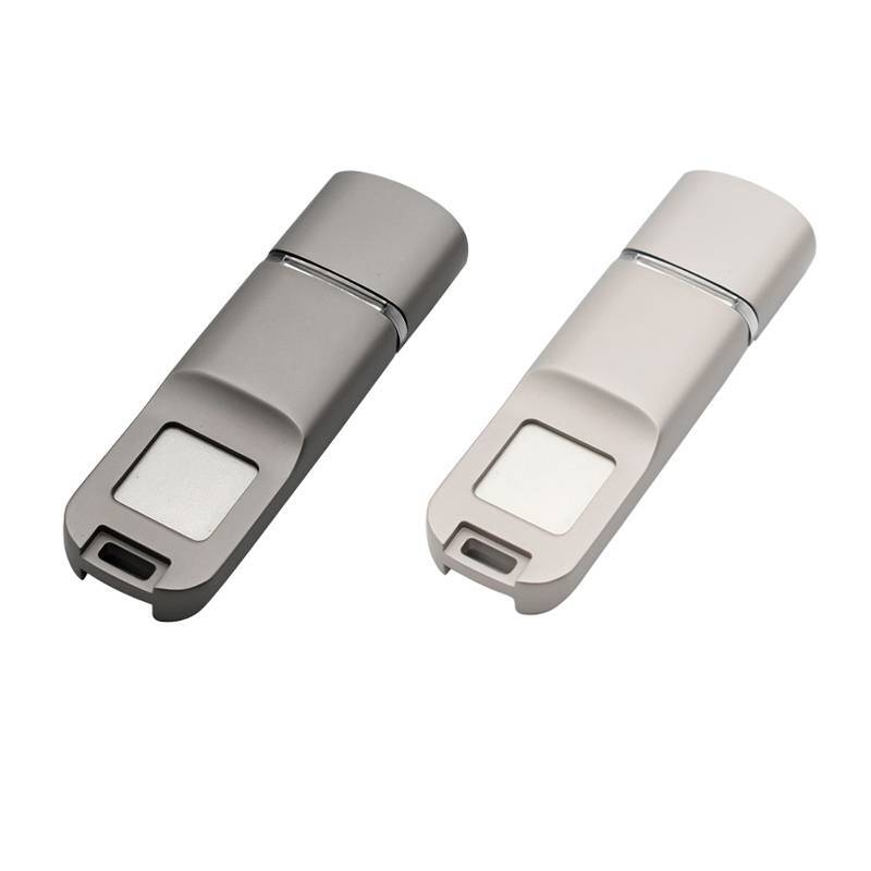 Fingerabdruck USB-Flash-Laufwerk für Computer