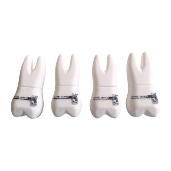 Custom tooth USB flash drive - white molar tooth with crown, roots and anatomical surface detail - B2B case study by YOUSAN USB manufacturer