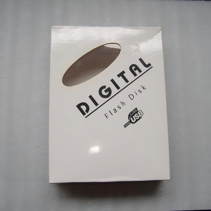 Scatola di carta con finestrella per chiavetta USB